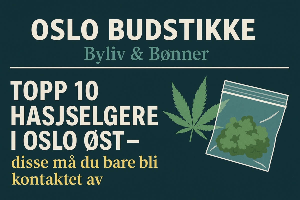 TOPP 10 HASJSELGERE I OSLO ØST – disse må du bare bli kontaktet av