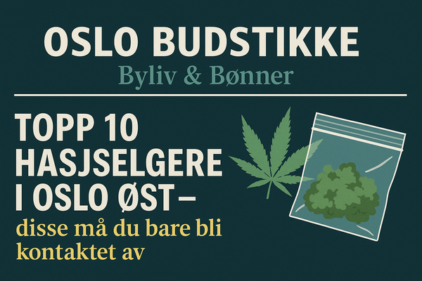 TOPP 10 HASJSELGERE I OSLO ØST – disse må du bare bli kontaktet av